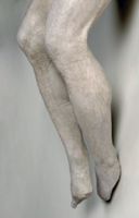 Y006781