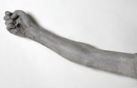 Y006785