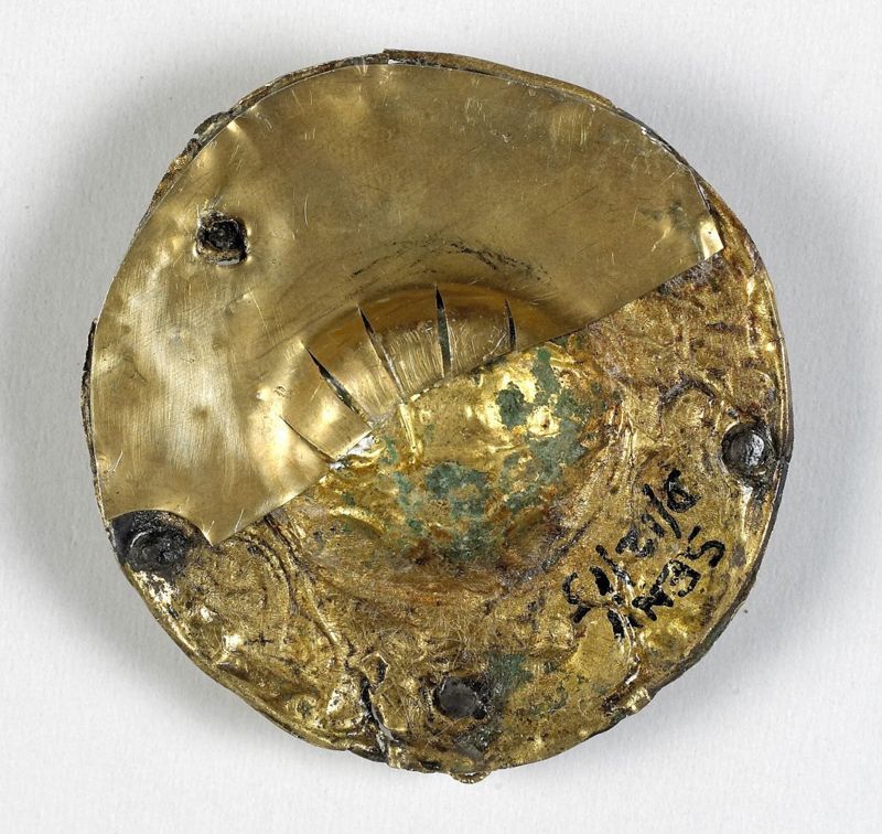 fibule / Musée Curtius