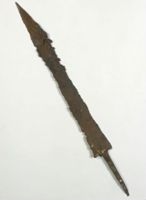 Y007494