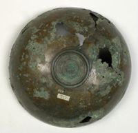 Y007515