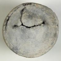Y007519
