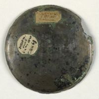 Y007999