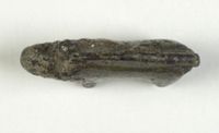 Y008055