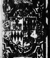Y008140