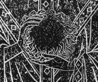 Y009595