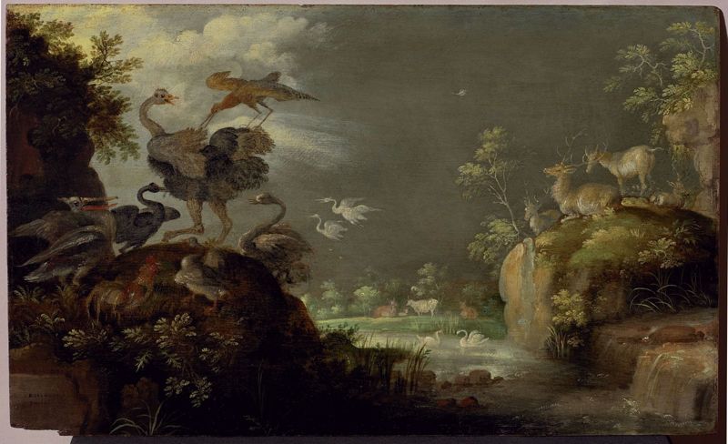 Landschap met struisvogel