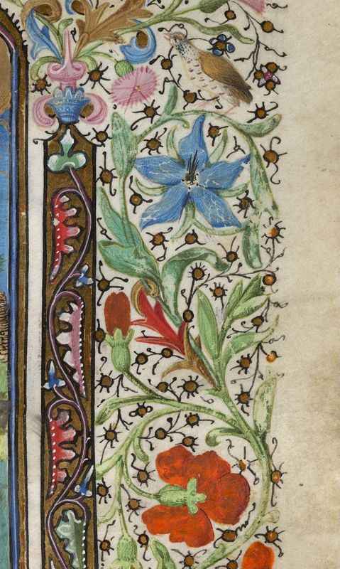 Livre d'heures, usage de Rome