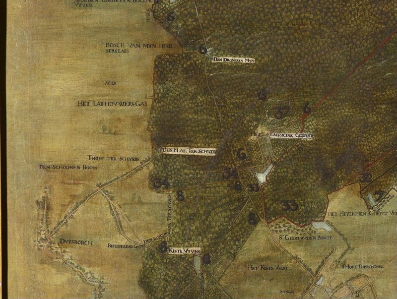 Forêt de Soignies