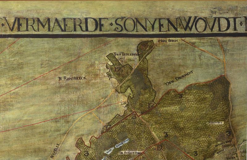Forêt de Soignies