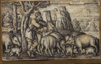 Z006537