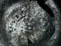 Z006737