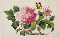 Z006817