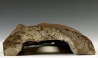 Z007467