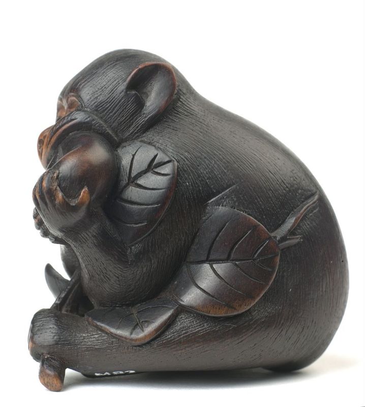 Singe