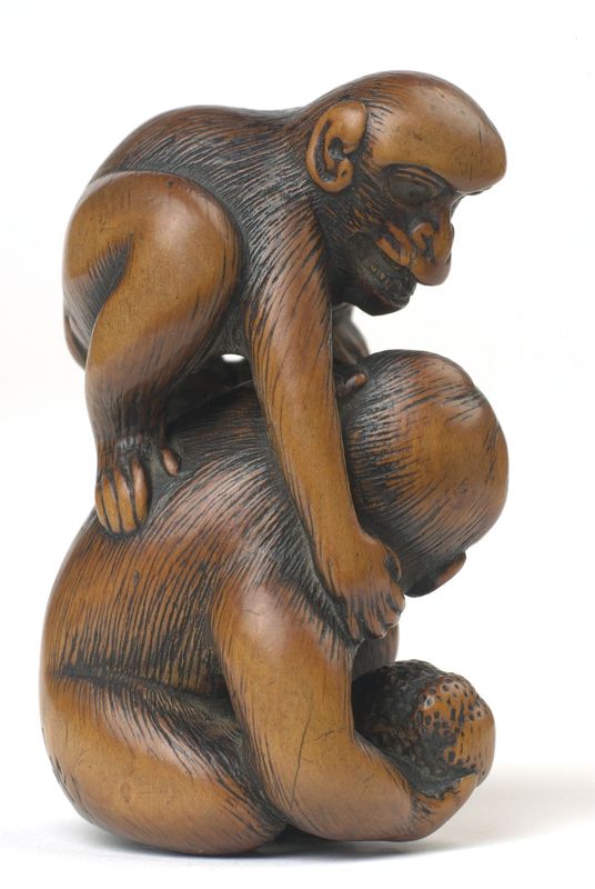 Singes