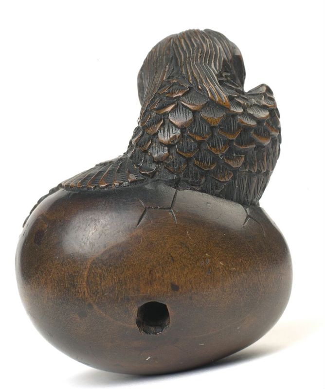 Oiseau qui sort de l'oeuf