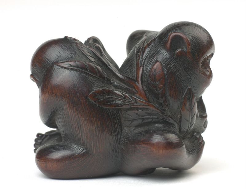 Singes