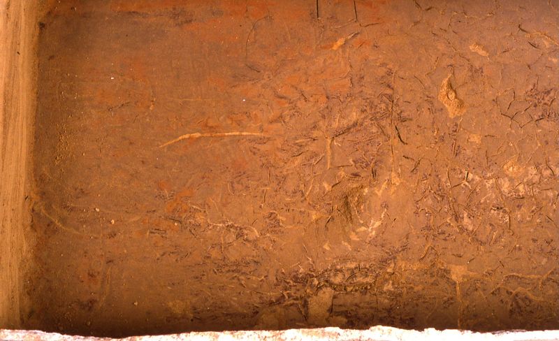 sarcophage de la nécropole romaine de la rue Perdue