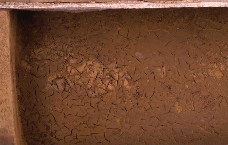 sarcophage de la nécropole romaine de la rue Perdue