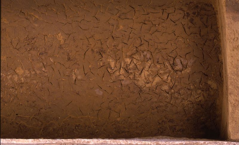 sarcophage de la nécropole romaine de la rue Perdue