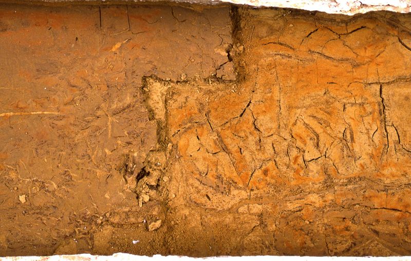 sarcophage de la nécropole romaine de la rue Perdue