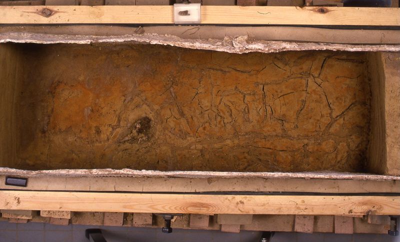 sarcophage de la nécropole romaine de la rue Perdue