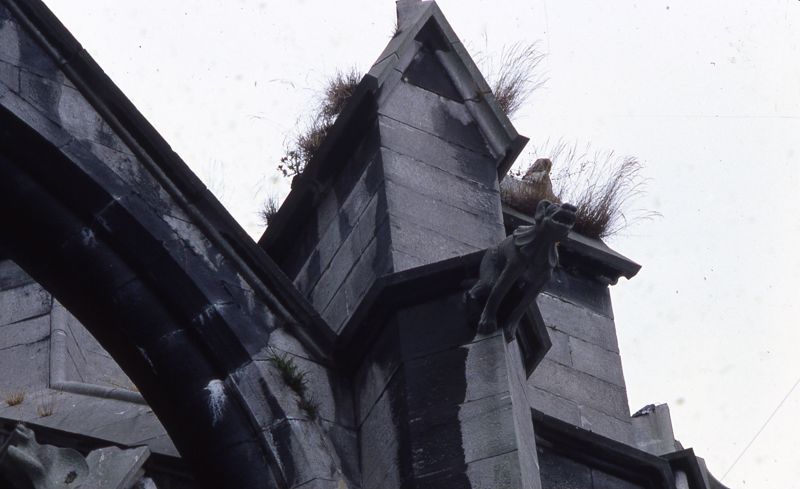 Collégiale Notre-Dame et Saint-Domitien