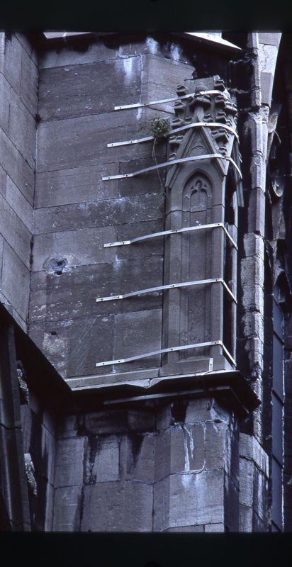 Collégiale Notre-Dame et Saint-Domitien