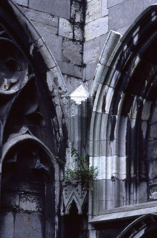 Collégiale Notre-Dame et Saint-Domitien