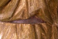 di075498