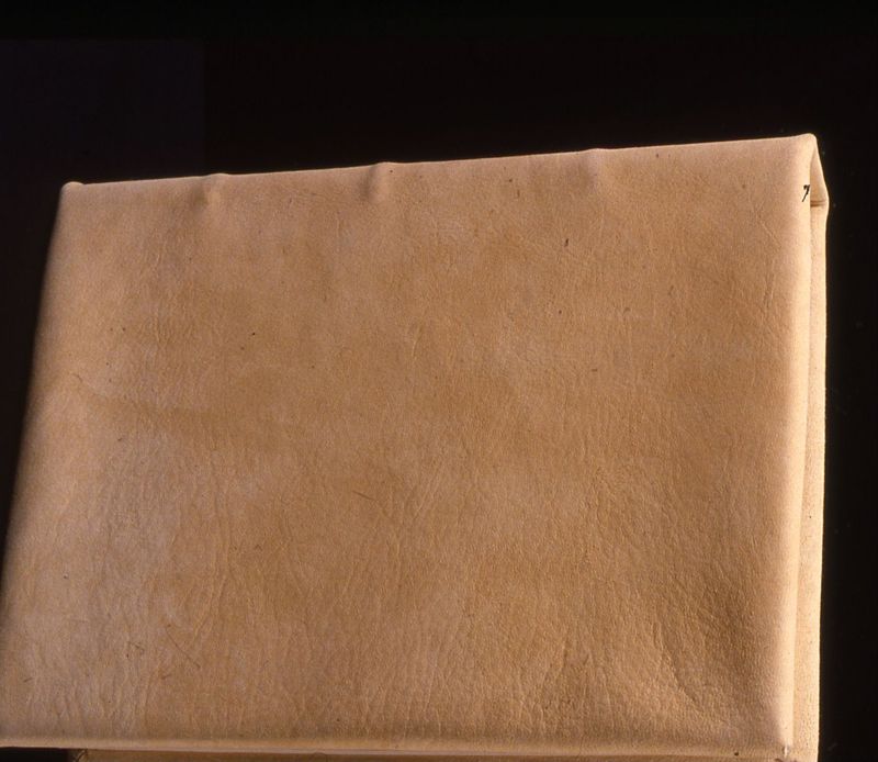 Codex Eyckensis