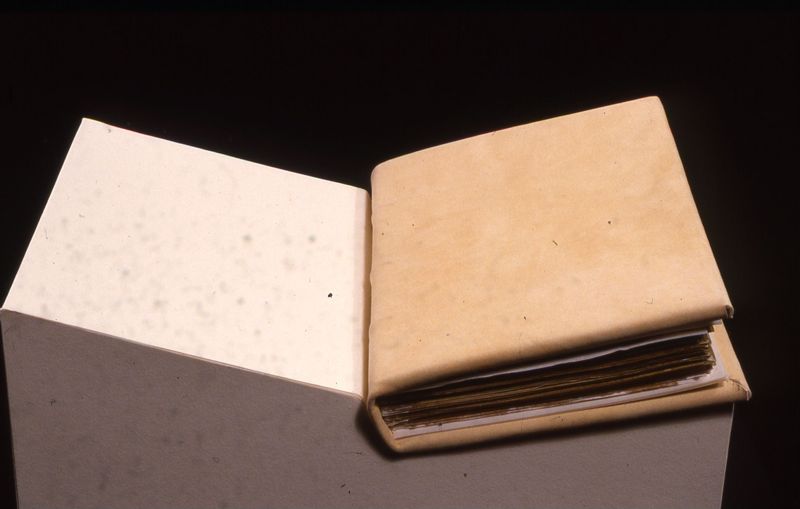 Codex Eyckensis