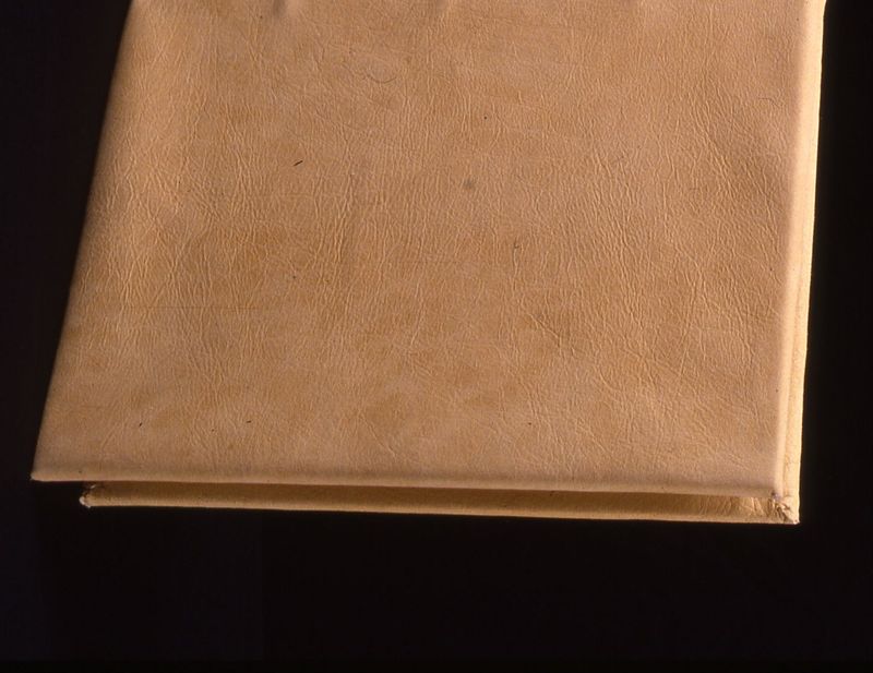 Codex Eyckensis