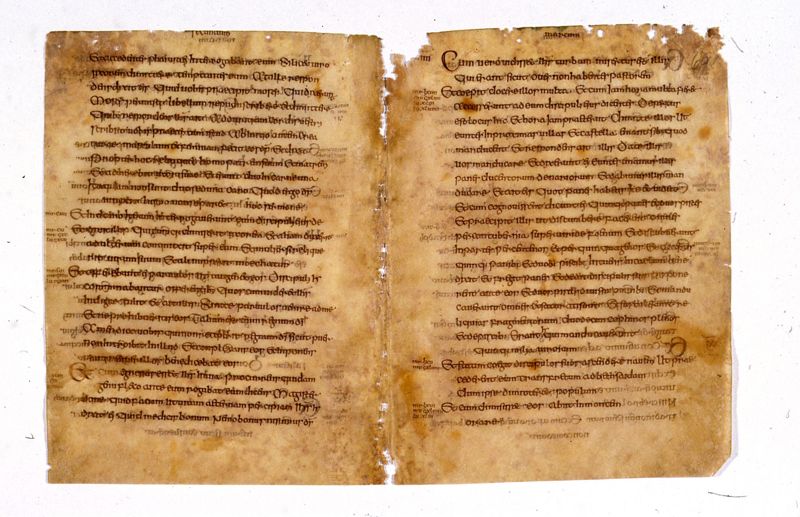 Codex Eyckensis