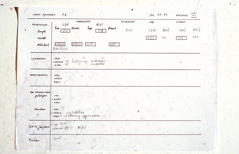 Codex Eyckensis