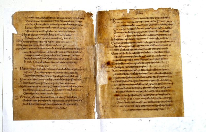 Codex Eyckensis