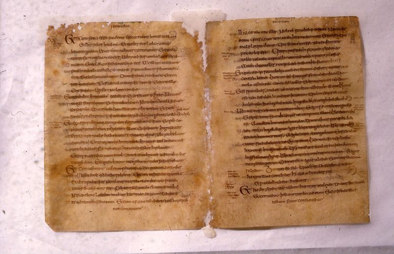 Codex Eyckensis