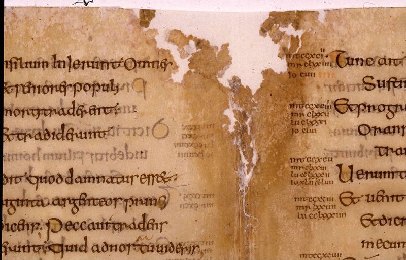 Codex Eyckensis