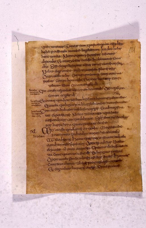Codex Eyckensis