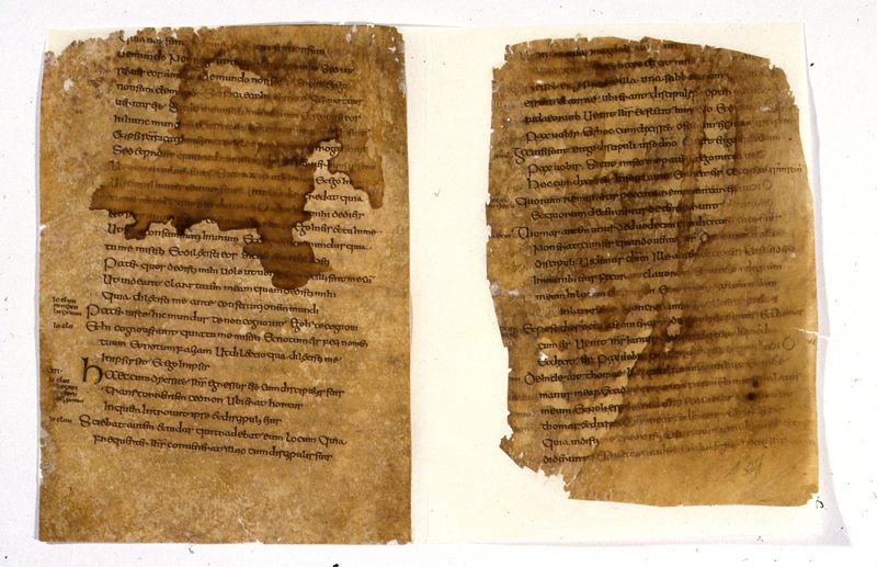 Codex Eyckensis