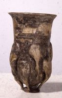 di076925