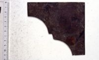 di077817