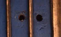 di079029
