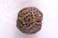 di079203