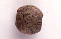 di079205