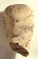 di079209