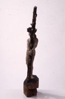 di079905