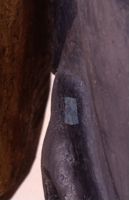 di079974