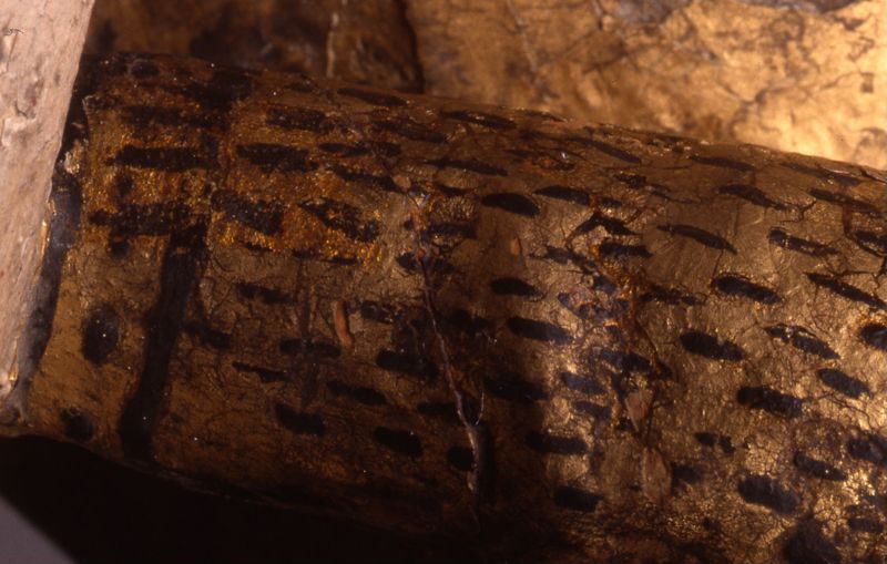 Marteldood van de H. Adrianus